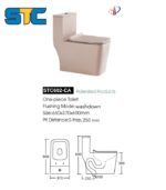 washdown one pes toilet - Image 2
