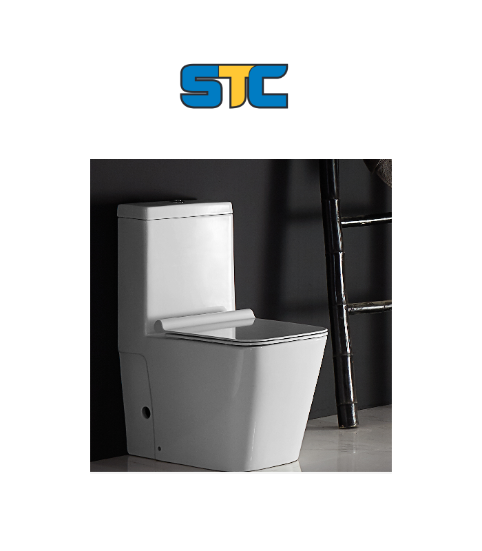 New Project (42) تواليت ابيض قطعة واحدة - Image 1